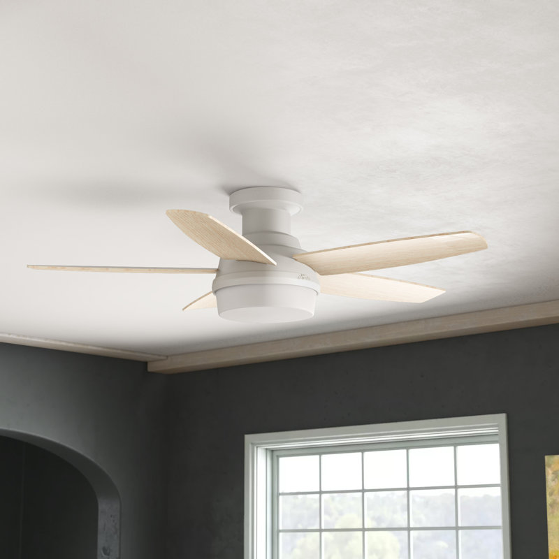 Hunter Fan Avia 48'' Ceiling Fan with Light Kit & Reviews Wayfair